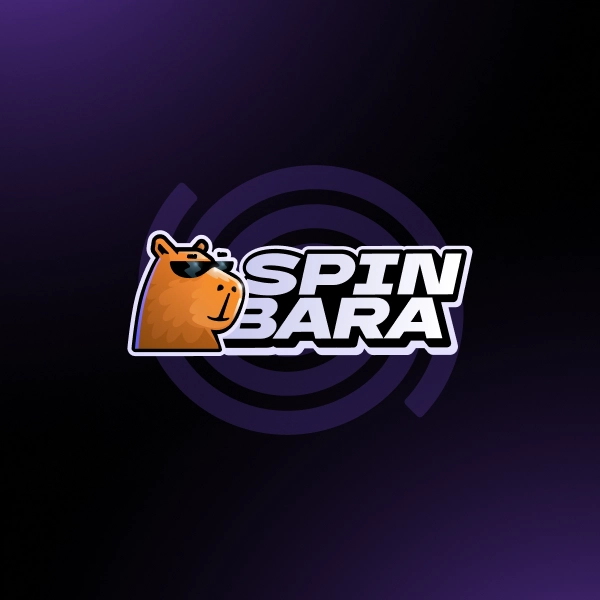 Professional Technical Architecture Of Spinbara Casino